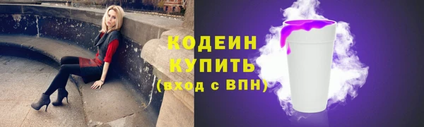 соль ск Сясьстрой