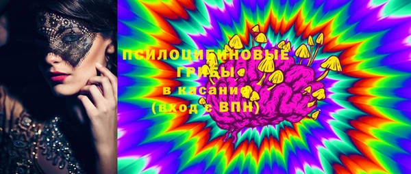амф Бронницы