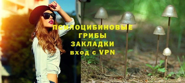 амф Бронницы