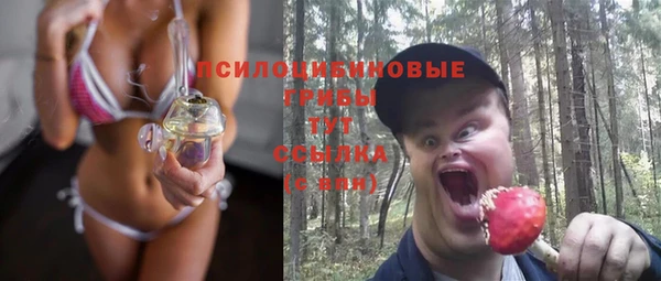 соль ск Бородино