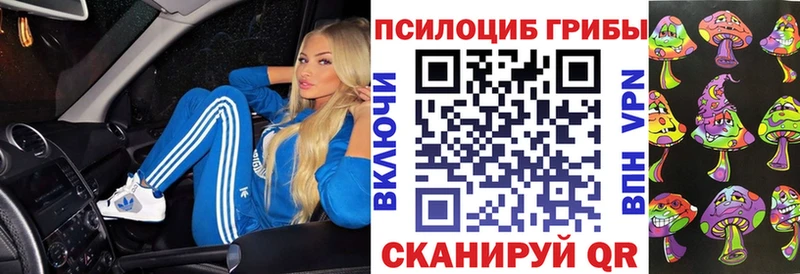 Галлюциногенные грибы мицелий  Новосокольники 